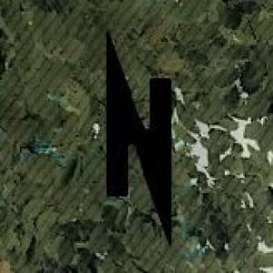 Nev1x